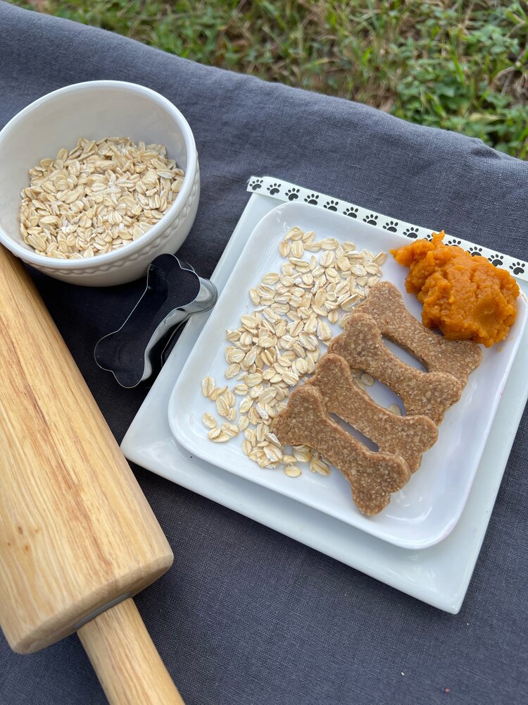 Pumpkin Patch Homemade Organic Dog Treats